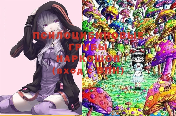 тгк Вязьма