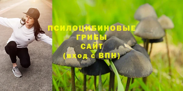 тгк Вязьма
