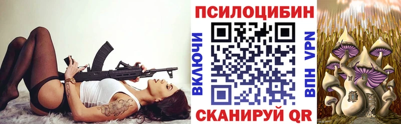 OMG ссылка  Новая Ладога  Галлюциногенные грибы мухоморы 